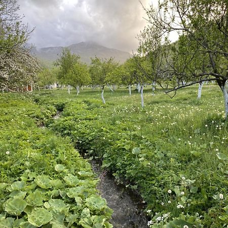 Farmstead Green Haven Mojkovac Dış mekan fotoğraf