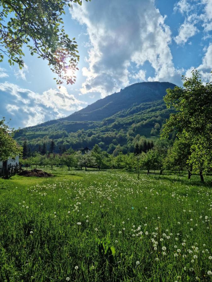 Farmstead Green Haven Mojkovac Dış mekan fotoğraf