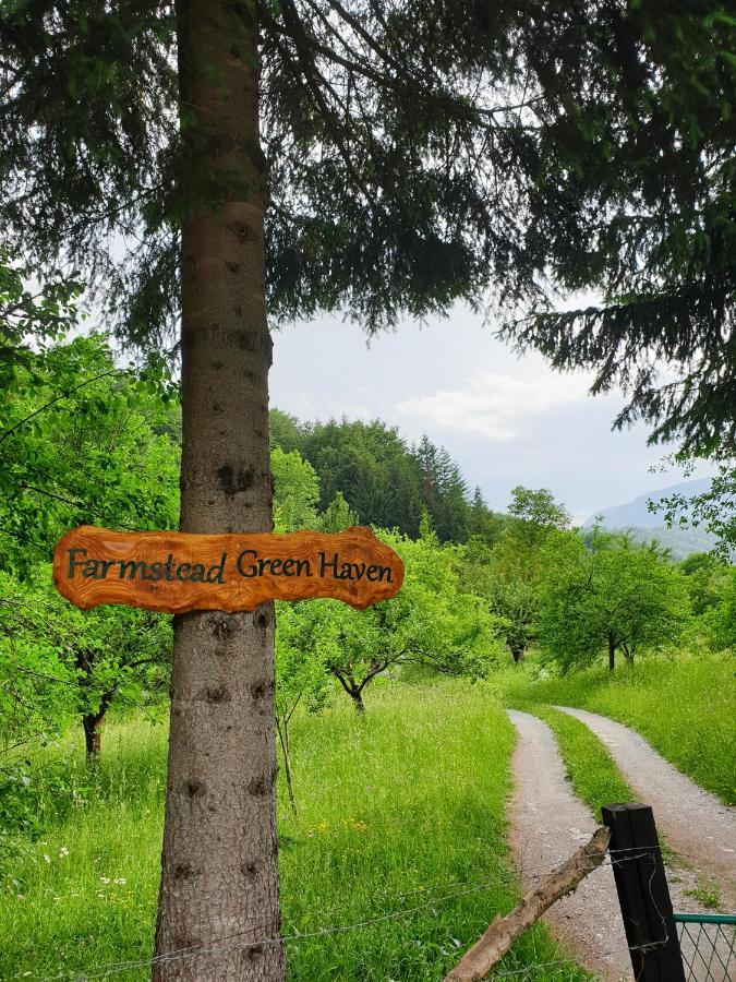 Farmstead Green Haven Mojkovac Dış mekan fotoğraf
