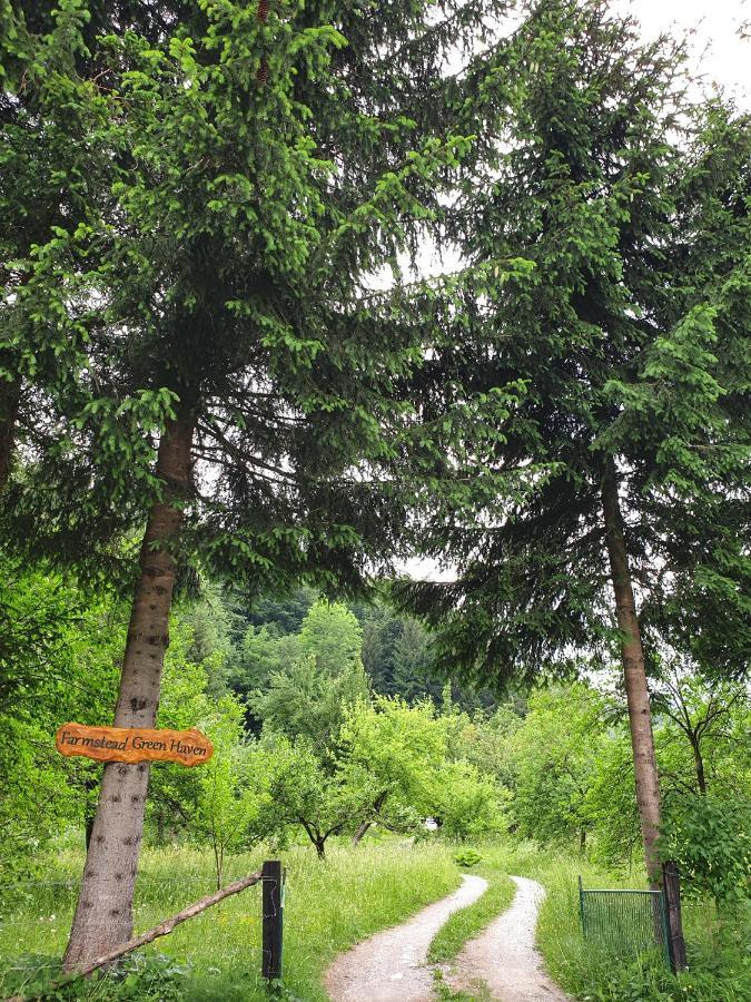 Farmstead Green Haven Mojkovac Dış mekan fotoğraf