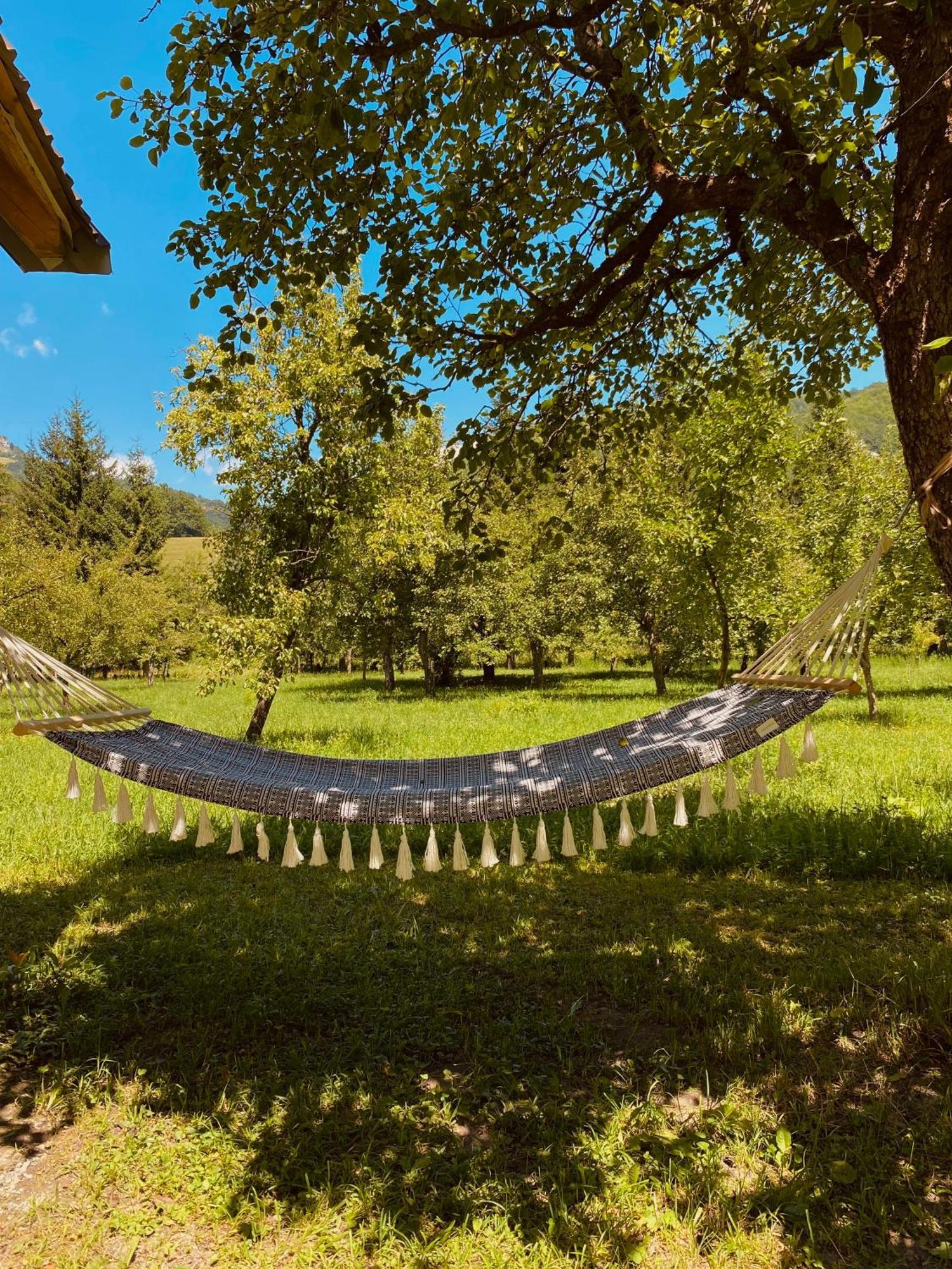 Farmstead Green Haven Mojkovac Dış mekan fotoğraf