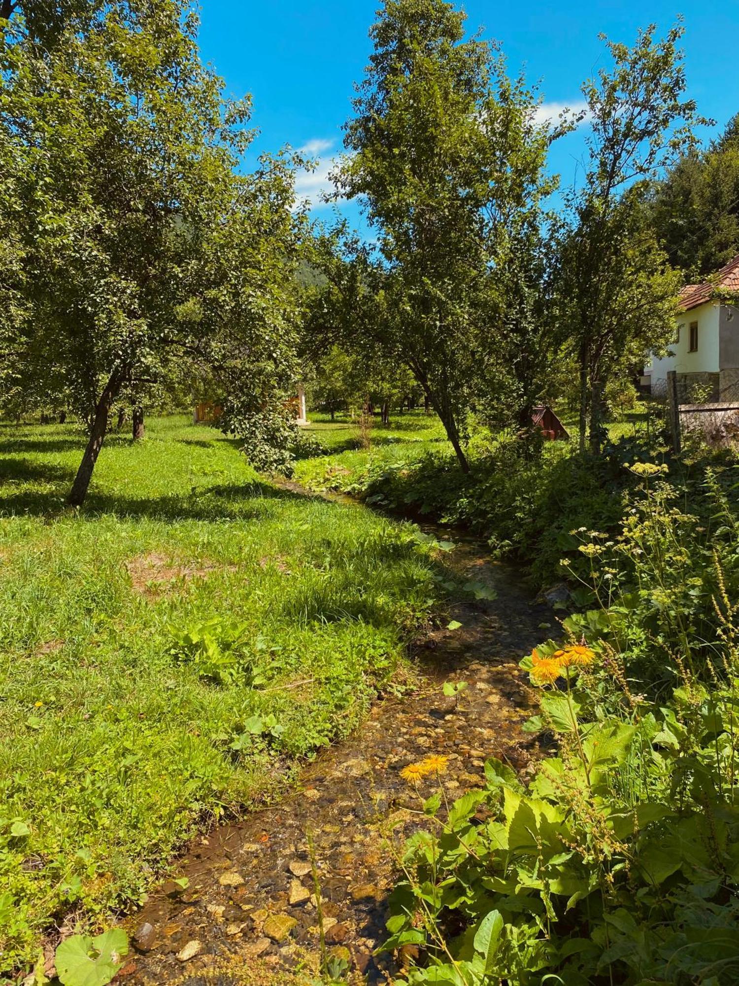 Farmstead Green Haven Mojkovac Dış mekan fotoğraf